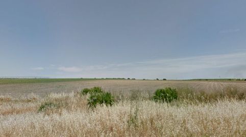 Finca Rúst. en venta en Rota.