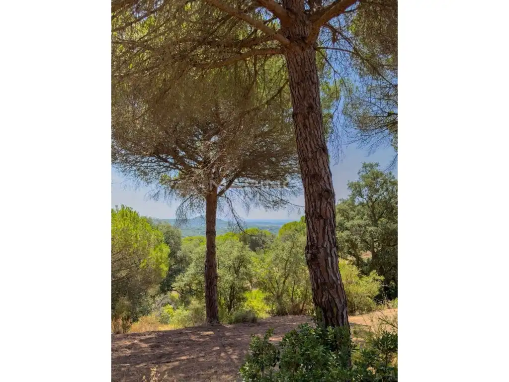 Jardí de Finca rústica en venda en Tordera amb Jardí privat i Terrassa