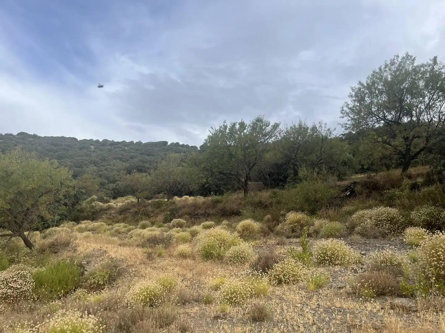 Terreno en venta en La Taha