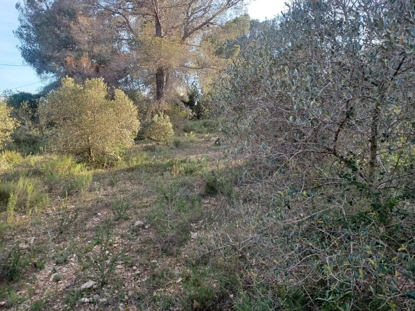 Terreno residencial en venta en dels Morts, imagen 2