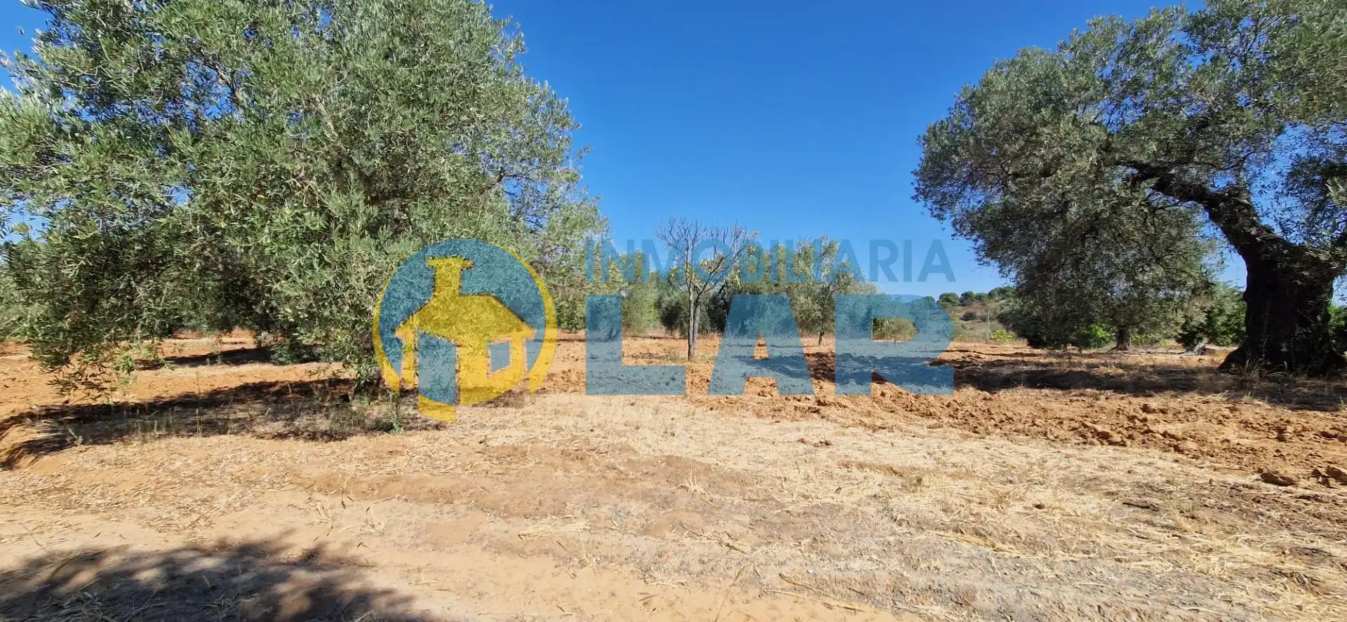 Finca rústica en venda en Niebla