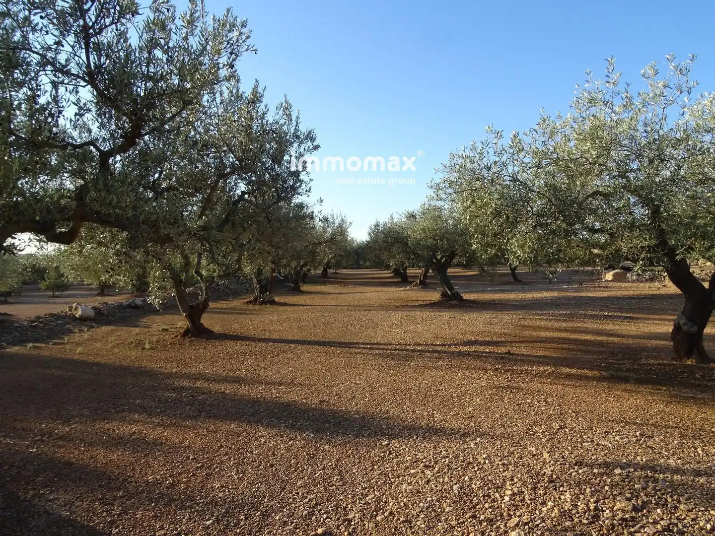 Terrain rustique à vendre à 14, imagen 2
