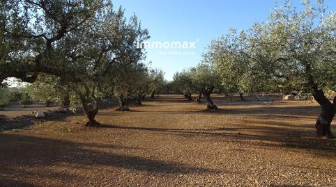 Finca rústica en venta en Xerta con agua, immagine 2