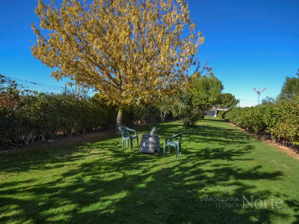 Jardín de Casa o chalet en venta en Fuente El Saz de Jarama, Madrid