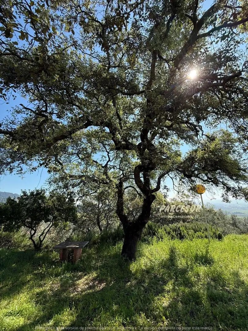 Vista exterior de Finca rústica en venda en Córdoba amb Jardí privat i Traster