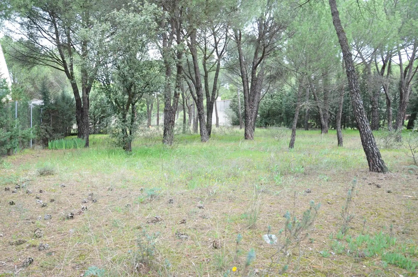 Residential zum Verkauf in Tudela de Duero
