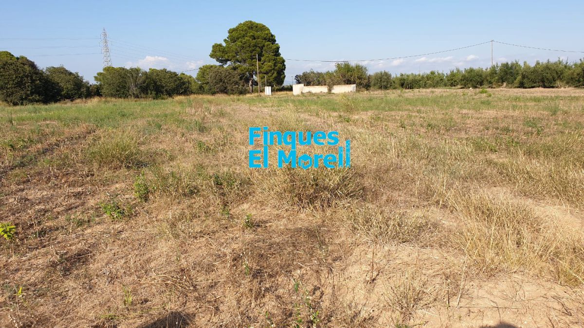 Country house zum verkauf in Alcover