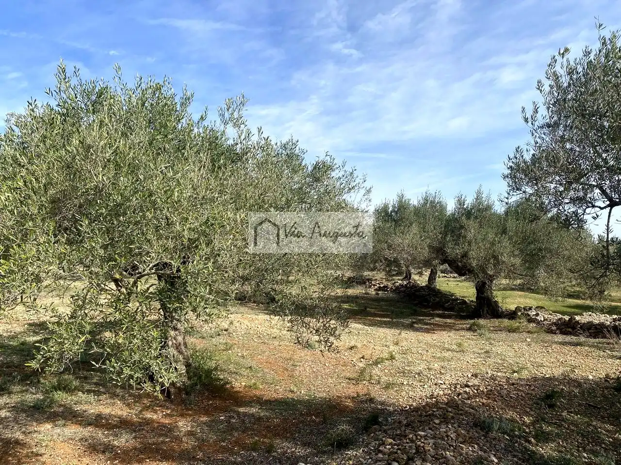 Terreno rustico in vendita a Planas, imagen 24