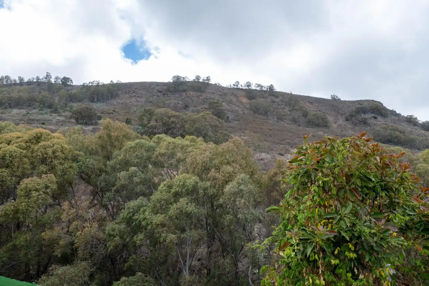 Vista exterior de Casa o xalet en venda en Arucas amb Terrassa