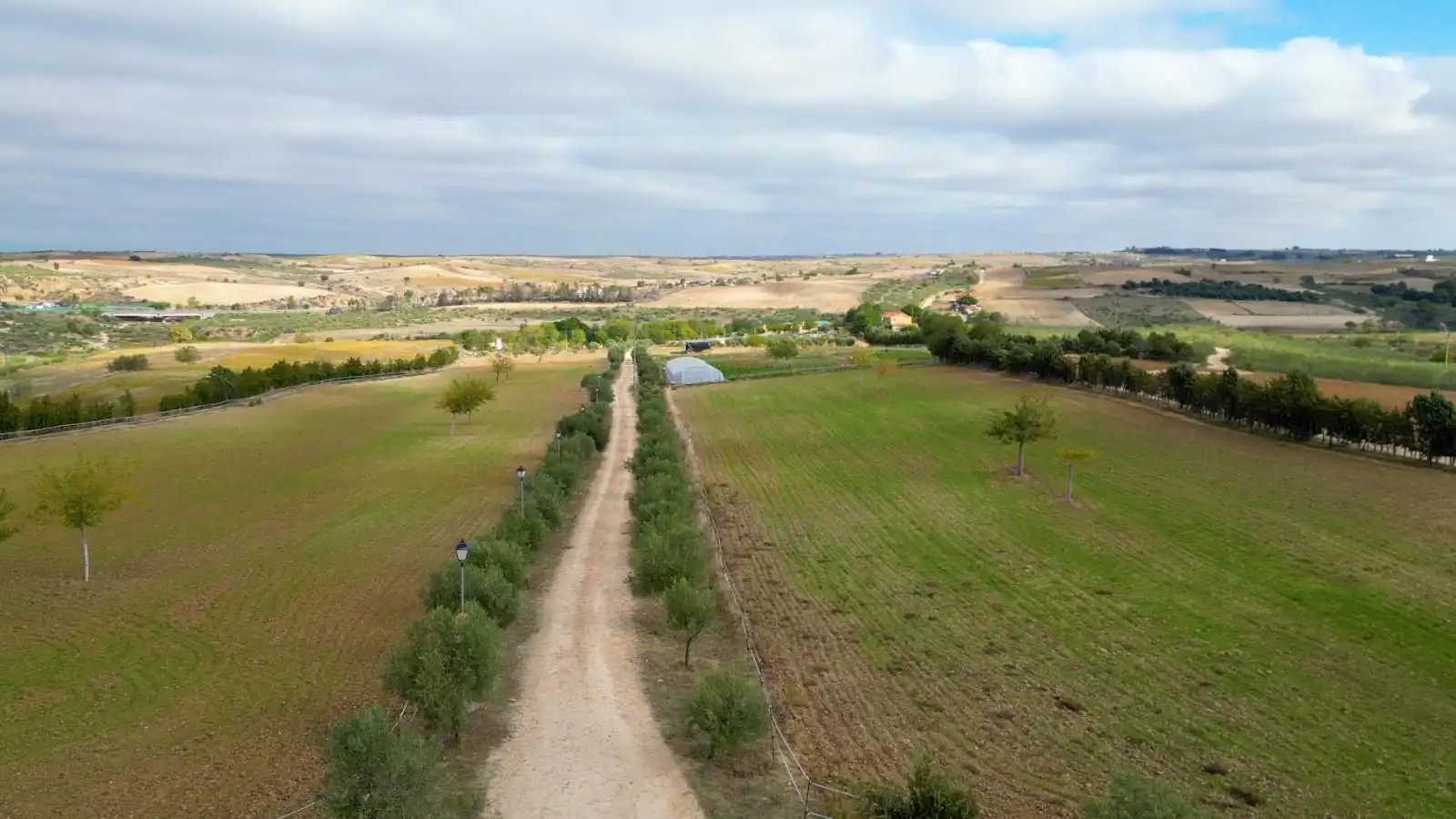 Grundstücke zum Verkauf in Olivares, Batres