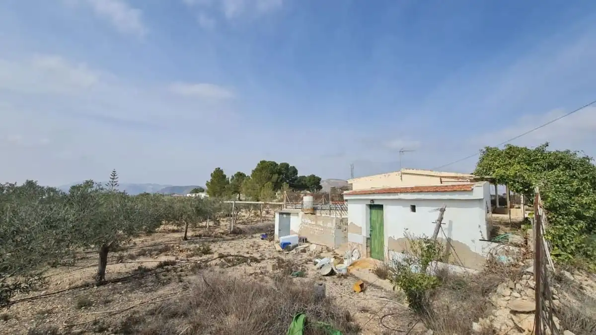 Casa amb piscina en venda a La Romana