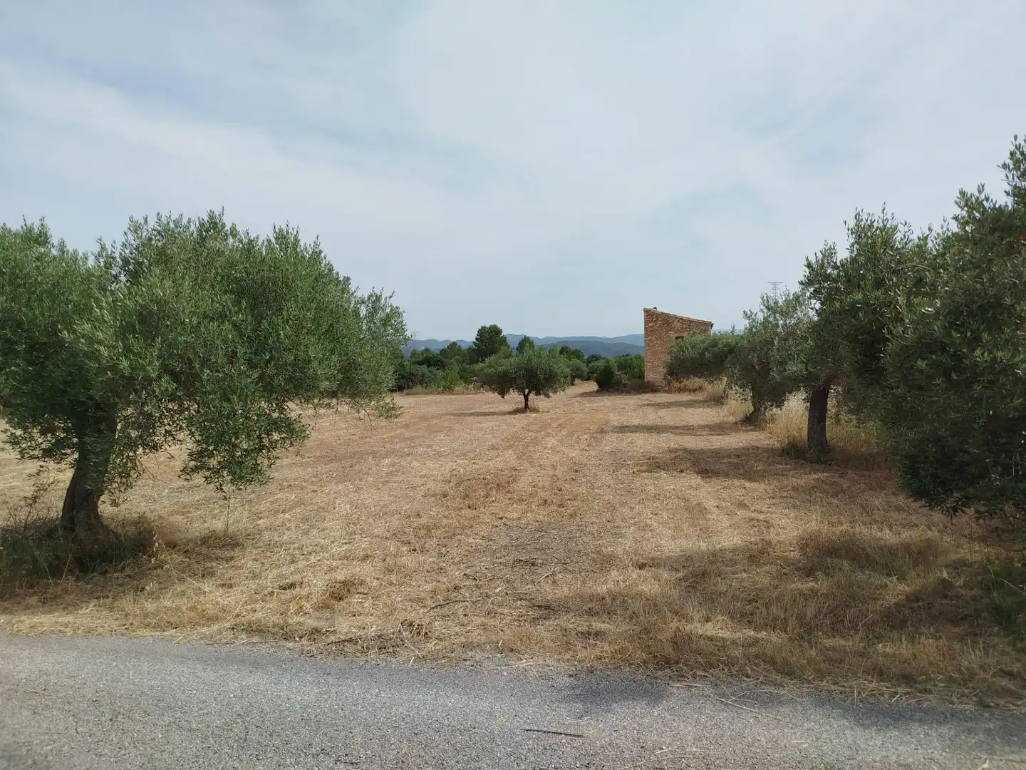 Terreno rústico en venta en Garcia, imagen 4