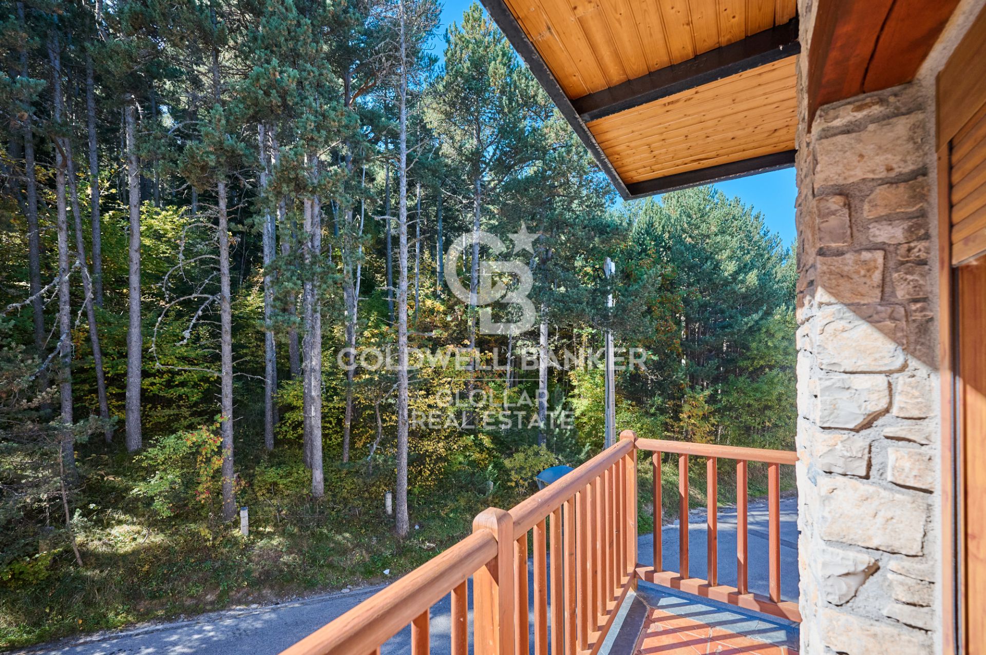 Vista exterior de Apartamento en venta en Alp con Calefacción, Trastero y Balcón