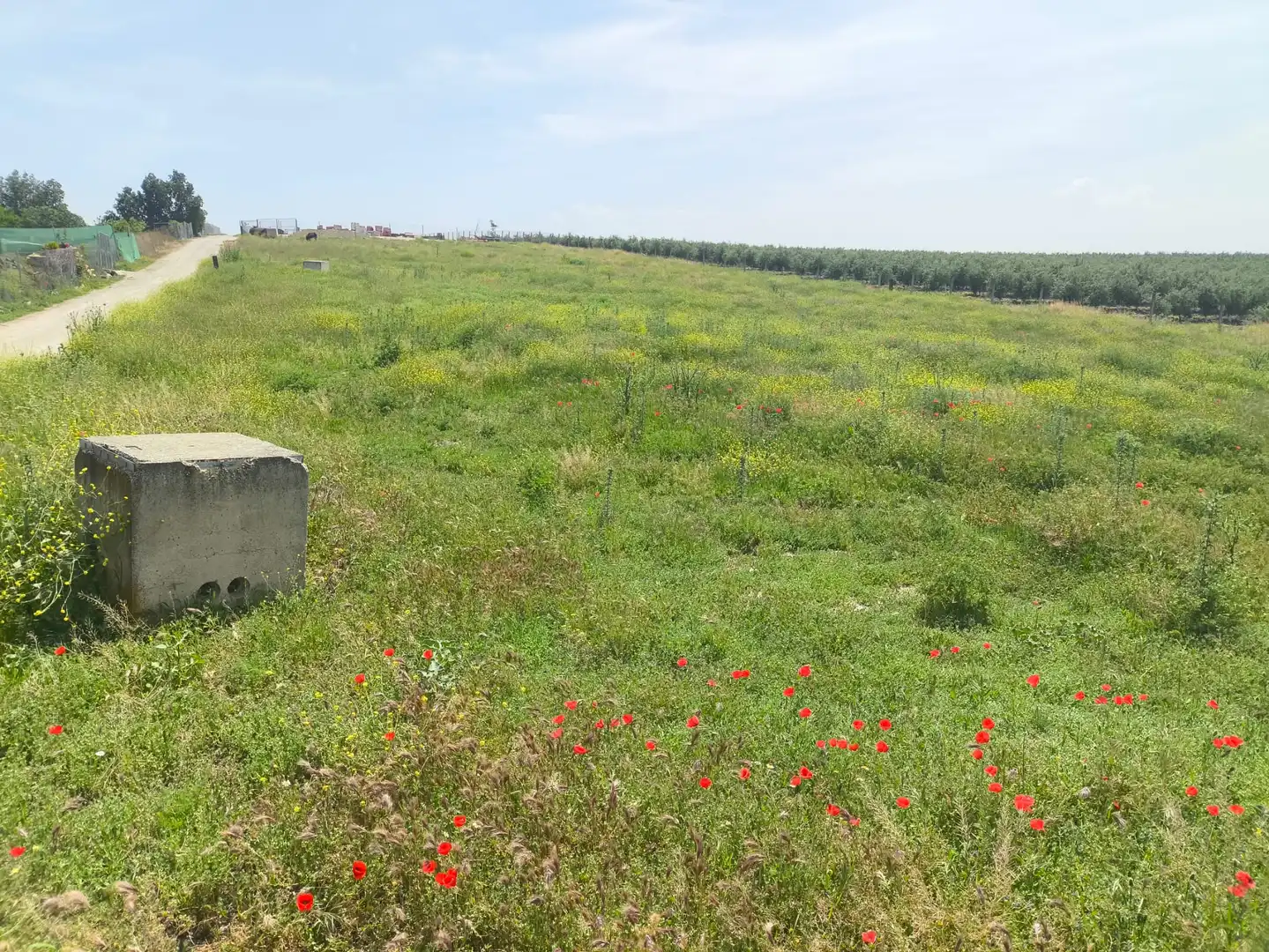 Terreni e lotti in vendita a Mengíbar, imagen 5