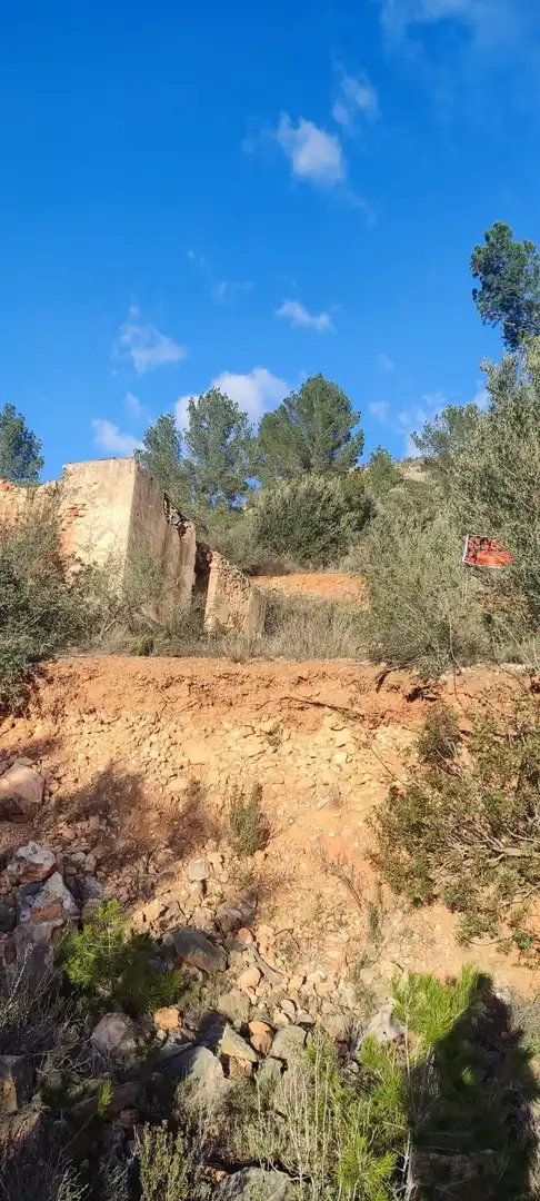 Terreny rústic en venda a de la masada, imagen 8