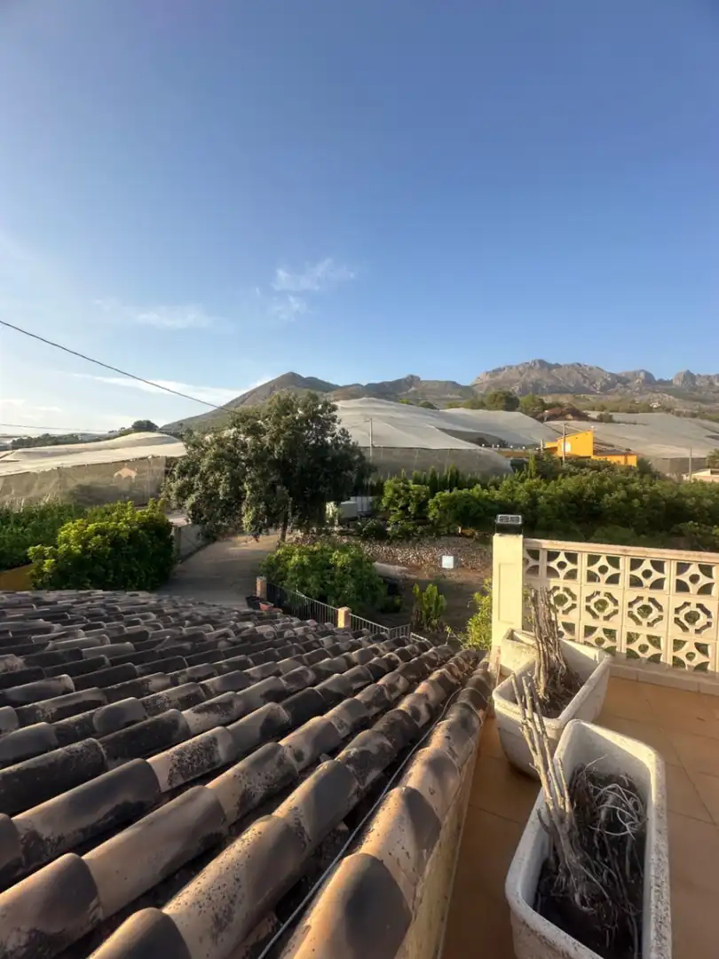 Vista exterior de Finca rústica en venta en Callosa d'en Sarrià con Jardín privado, Terraza y Trastero