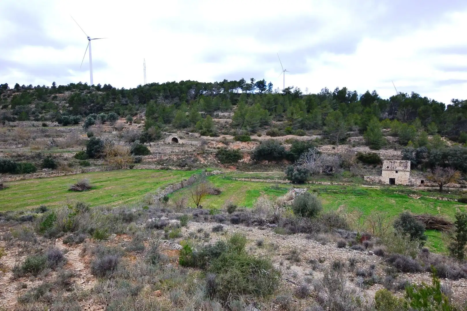 Terreno en venta en Vilalba dels Arcs