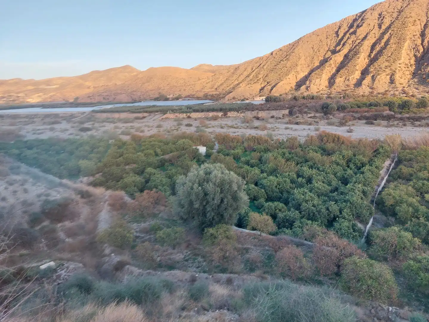Terreno rustico in vendita a Alhabia