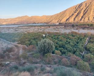 Terreny en venda en Alhabia