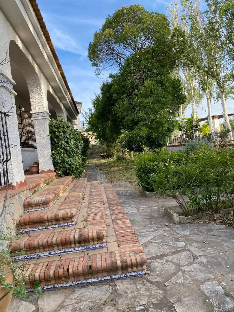 Jardí de Casa o xalet en venda en Arriate amb Aire condicionat, Calefacció i Jardí privat