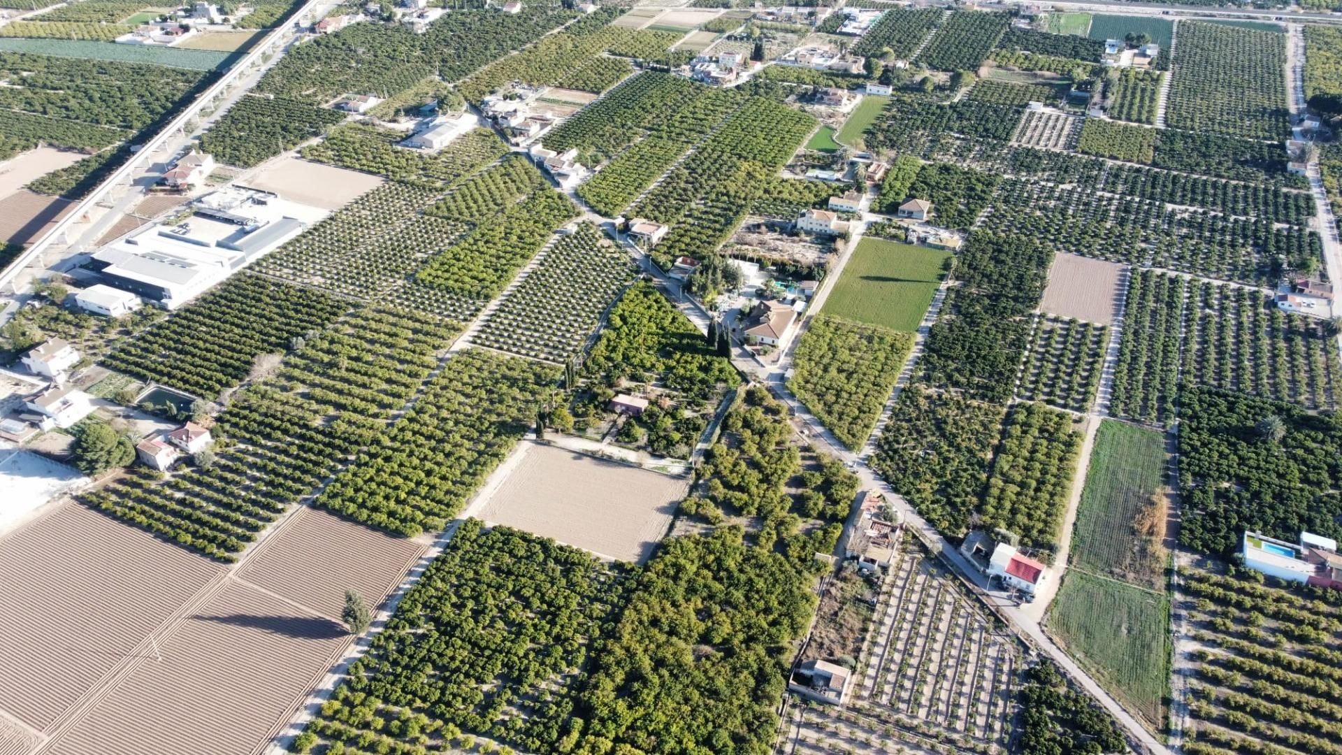 Vista exterior de Casa o xalet en venda en Orihuela amb Jardí privat