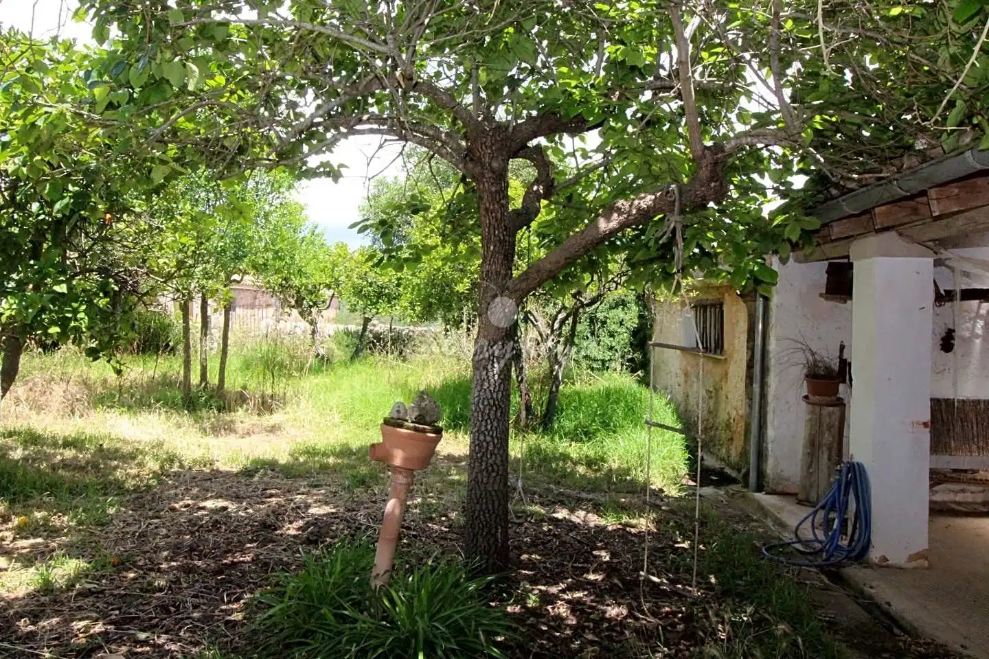 Maison rustique à vendre à lloret de vista alegre, imagen 42