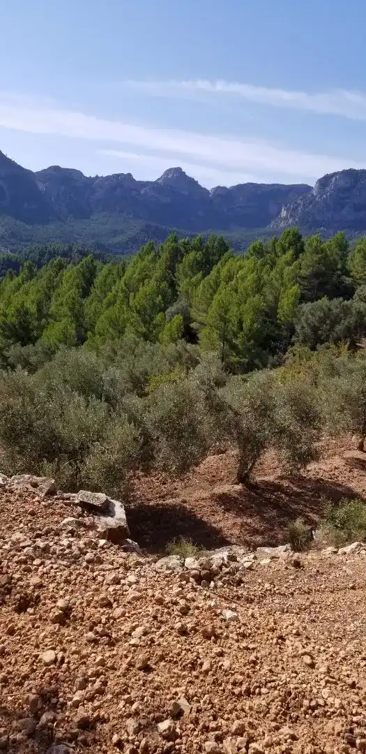 Finca rústica en venda en Amposta