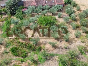 Terreno rustico in vendita a Madrigal de la Vera