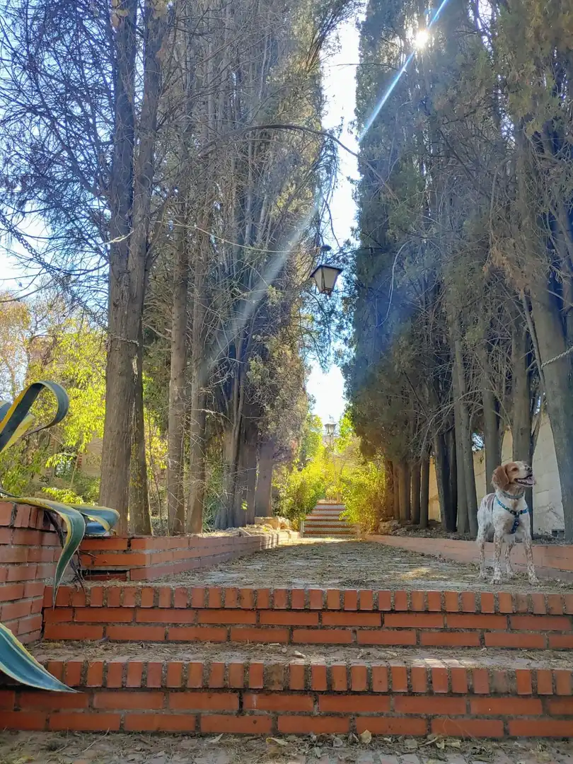 Vista exterior de Casa o xalet en venda en La Zubia amb Calefacció, Jardí privat i Terrassa