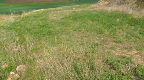 Photo 3 of Residential for sale in Zarratón, La Rioja