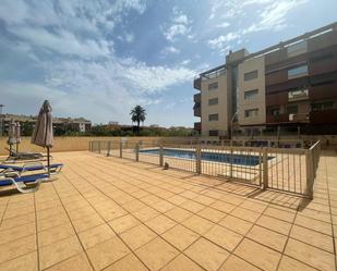 Swimming pool of Flat to rent in  Murcia Capital  with Air Conditioner and Terrace