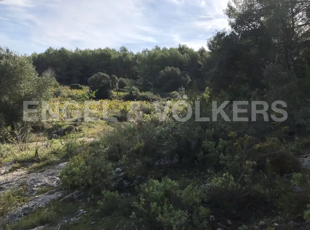 Terreny residencial en venda a Avinyonet del Penedès, imagen 9
