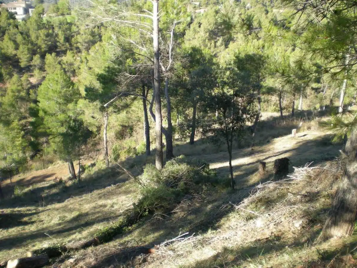 Terrenys i solars en venda a Castellnou de Bages, imagen 9