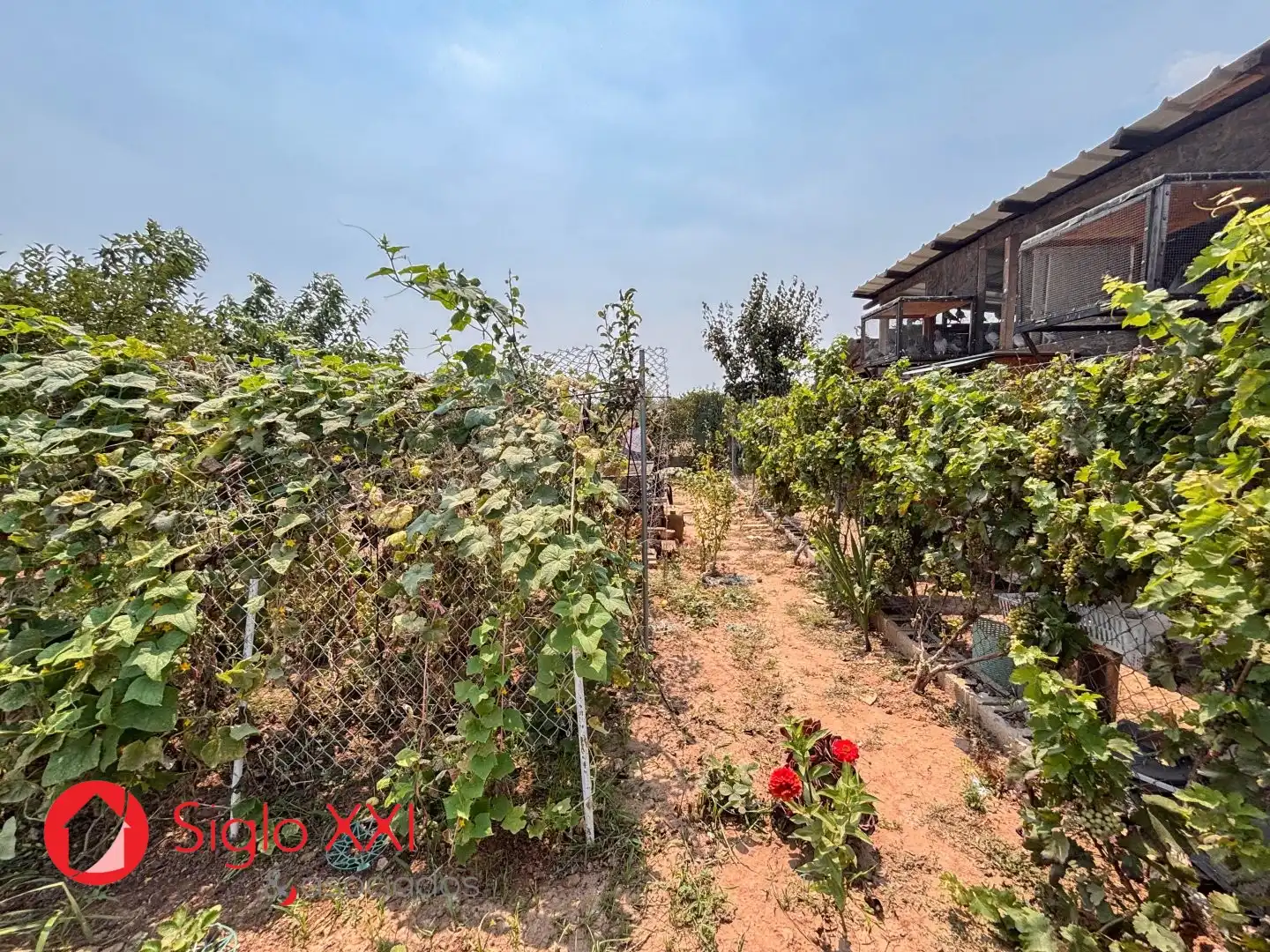 Country house zum Verkauf in Almazora / Almassora mit Heizung, Privatgarten und Möbliert