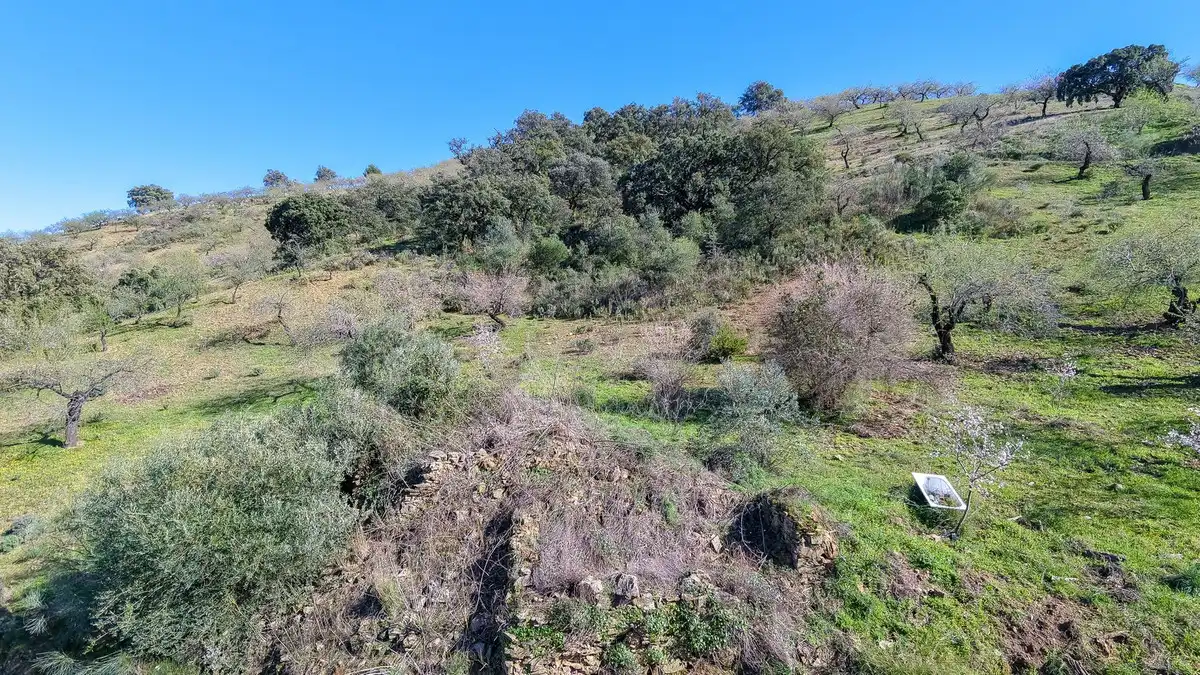 Terrenos y solares en venta en Este, imagen 9