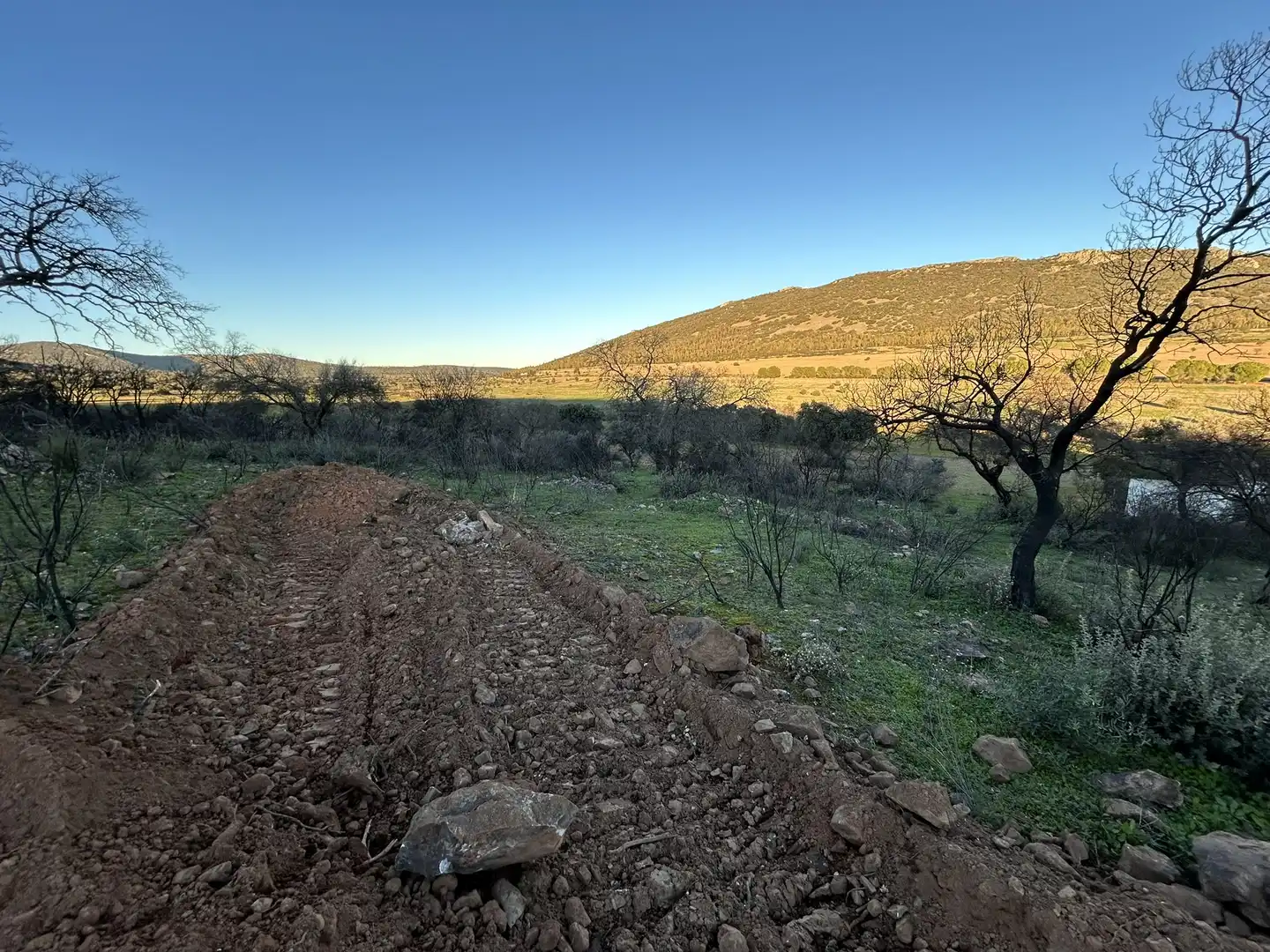 Terreny rústic en venda a Peraleda del Zaucejo, imagen 26