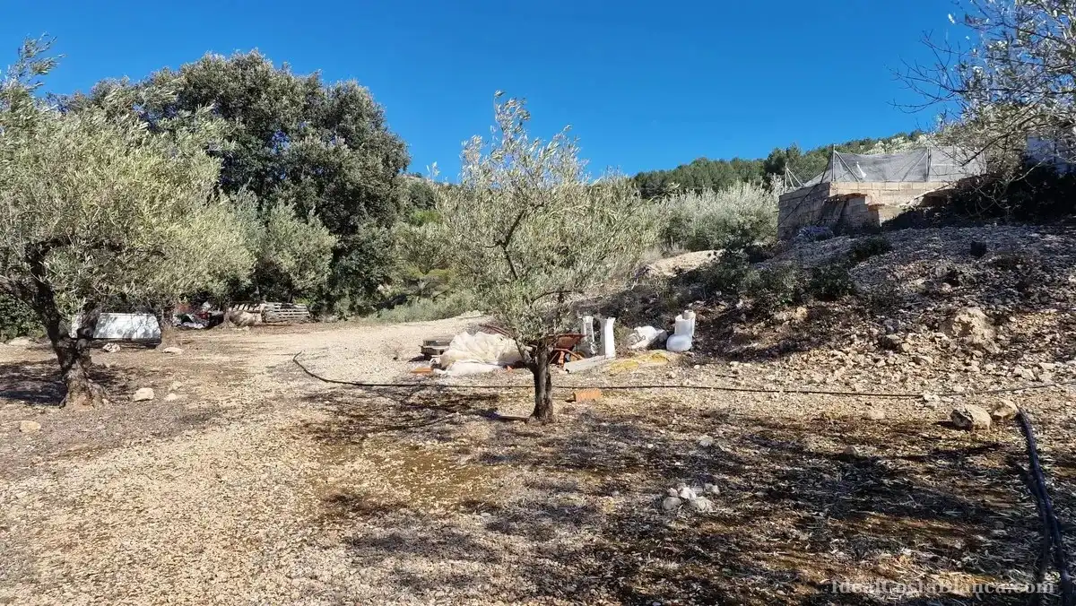 Maison rustique à vendre à Confrides, imagen 23