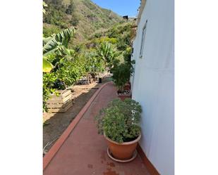 Exterior view of Country house for sale in Teror