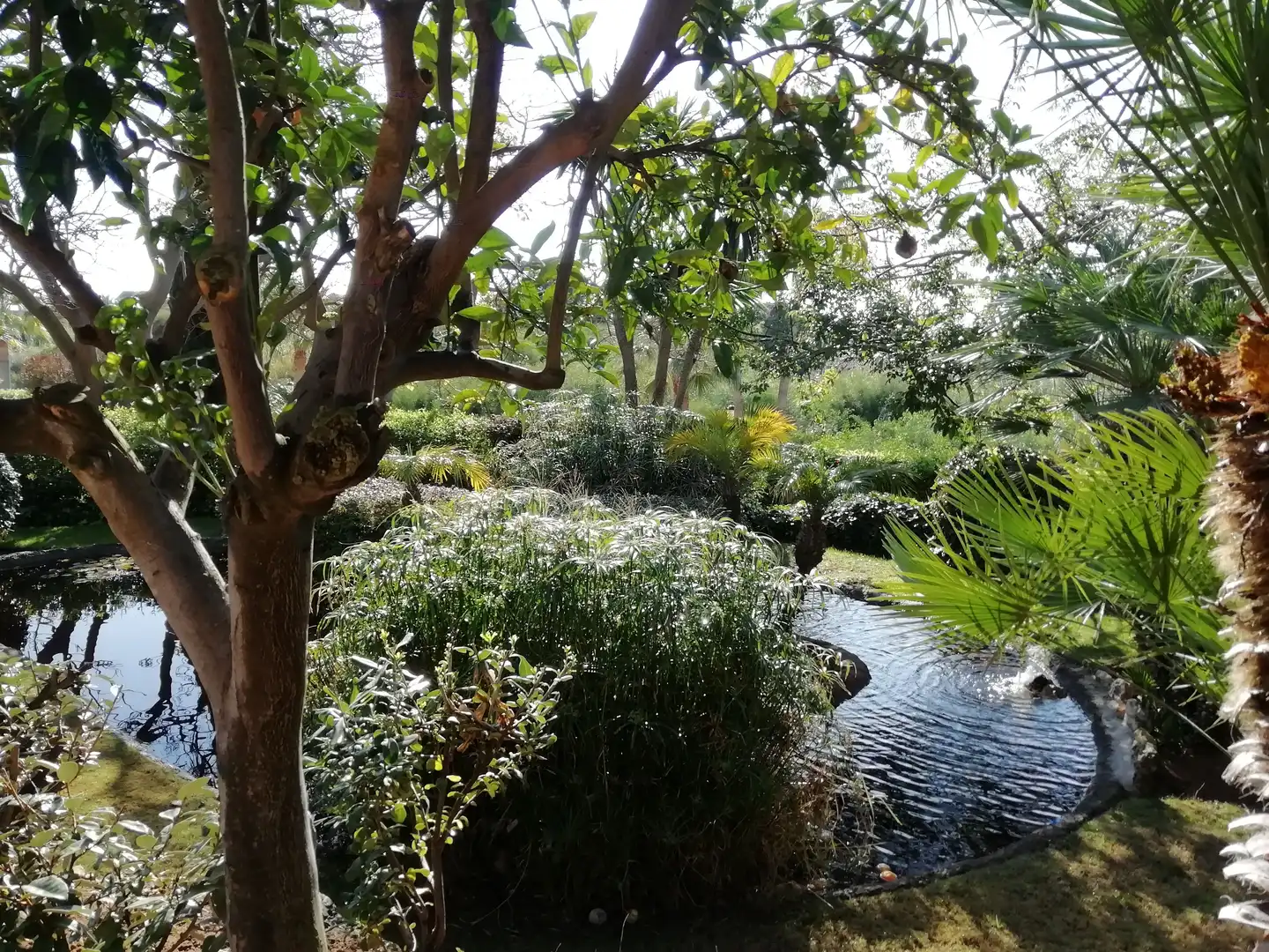 Garten von Maisonette zum Verkauf in Marbella mit Klimaanlage, Terrasse und Abstellraum