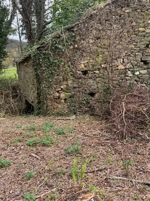 Vista exterior de Finca rústica en venta en Castropol