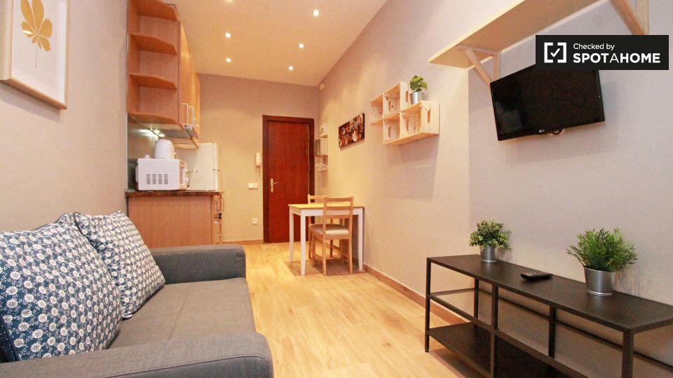 Flat to rent in Hostafrancs