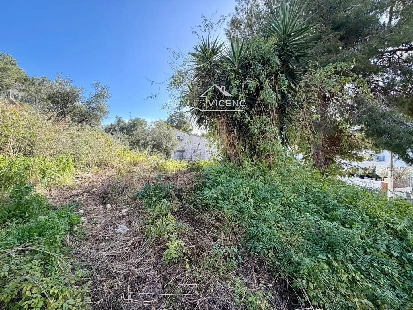 Terreno rustico in vendita a Torre Dels Escipions, imagen 3