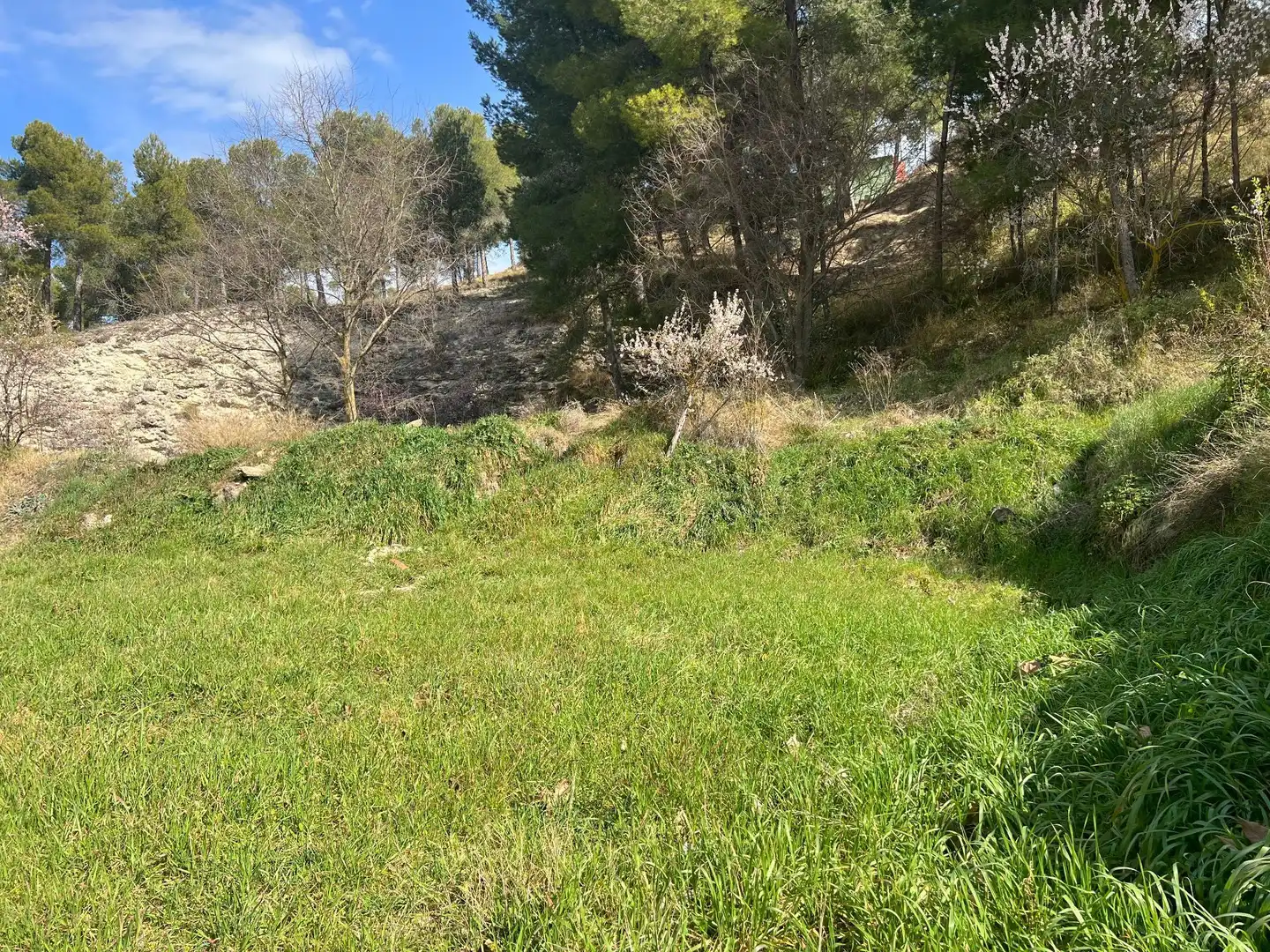 Terreny residencial en venda a Biar, imagen 15