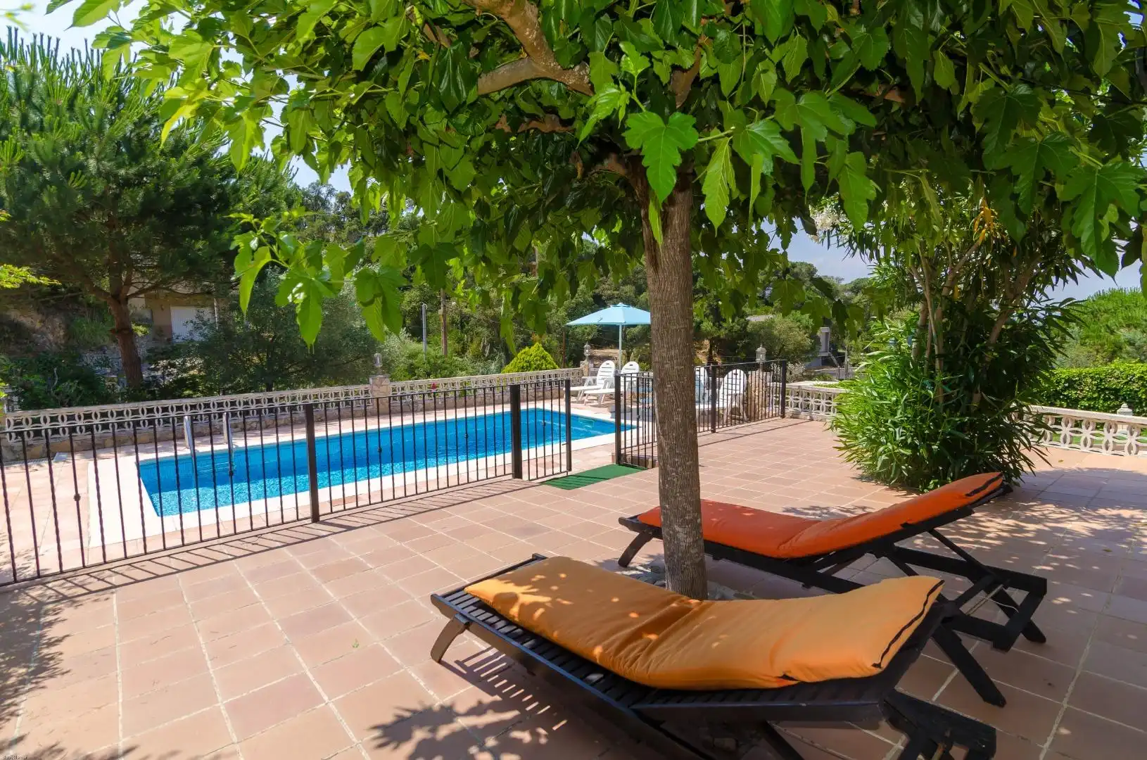 House with pool for sale in Montbarbat, imagen 11