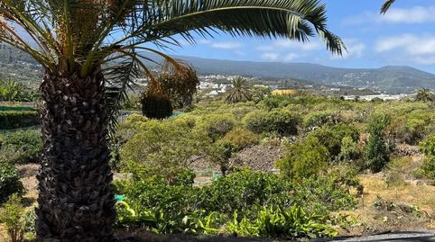 Photo 5 of Country homes for rent in La Guancha, Santa Cruz de Tenerife