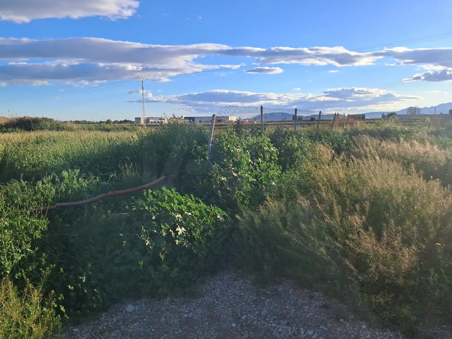 Terrenos y solares en venta en Lorca Ciudad, imagen 2