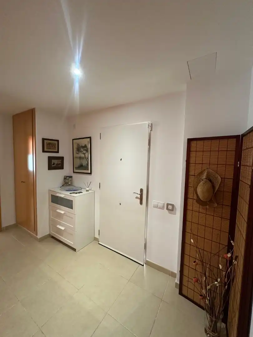 Piso con terraza en venta en Platja de Mont-roig, imagen 27