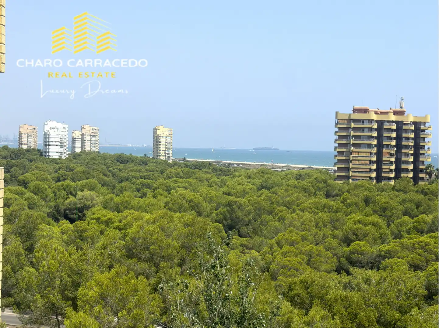 Vista exterior de Pis de lloguer en Valencia amb Aire condicionat, Jardí privat i Terrassa