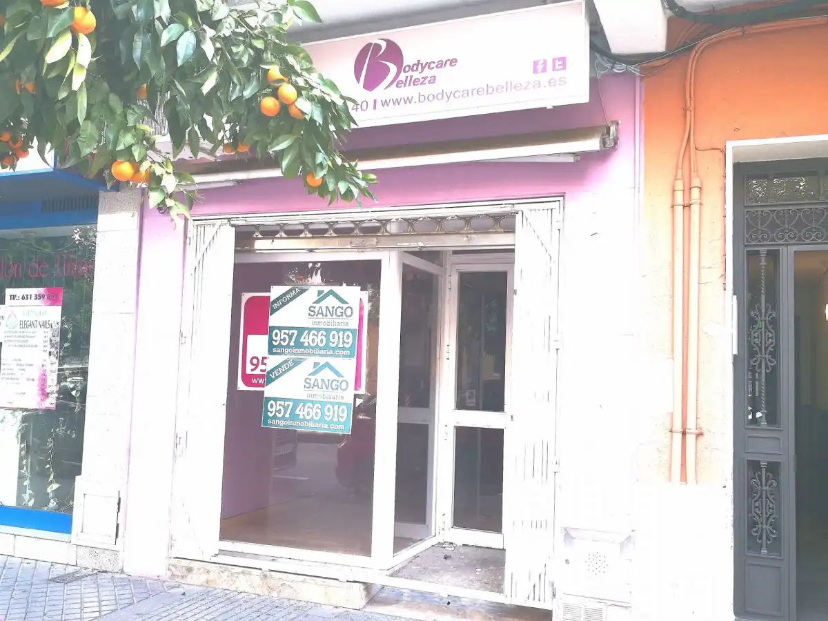 Business premises for sale in Poniente-Sur, imagen 10