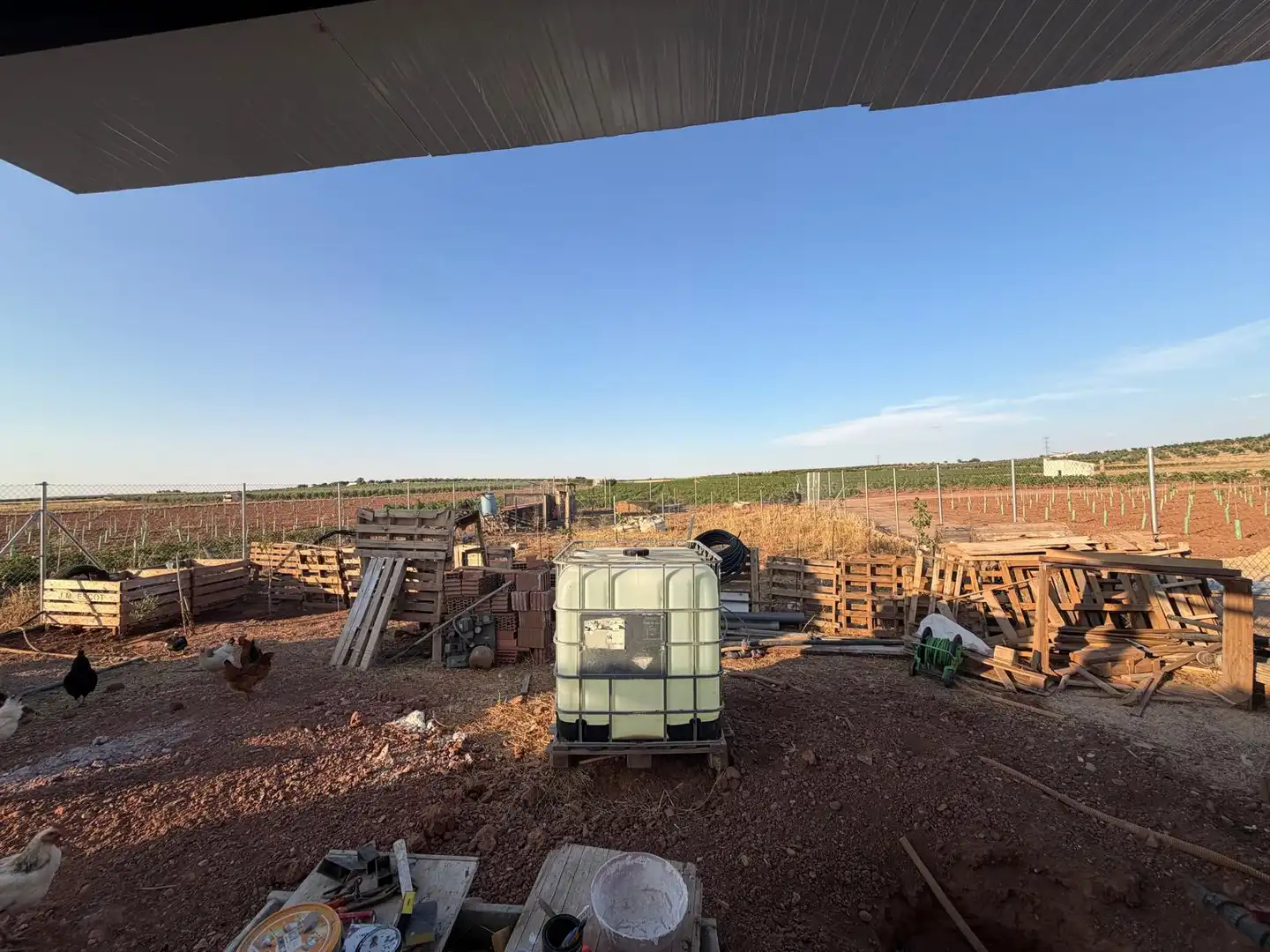 Terreno rustico in vendita a Membrilla, imagen 16
